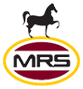 CS PN MRS Logo Icon