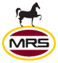 cs pn mrs logo icon