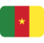 mrs-twemoji-flag-for-flag-cameroon