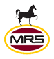 MRS-Holdings
