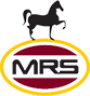 mrs-logo-icon